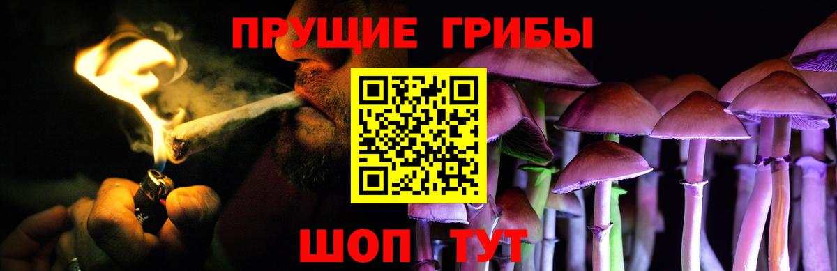 Псилоцибиновые грибы ЛСД  Вход с VPN  Заринск 